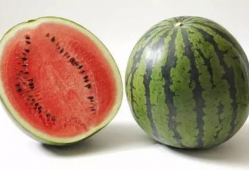 砀山最新吃瓜爆料视频播放,视频播放引发热议，揭秘幕后真相